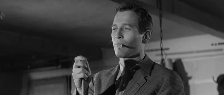 CV bez doświadczenia zawodowego. Zobacz, jak napisać CV